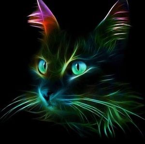 Meet your Posher, Tamela